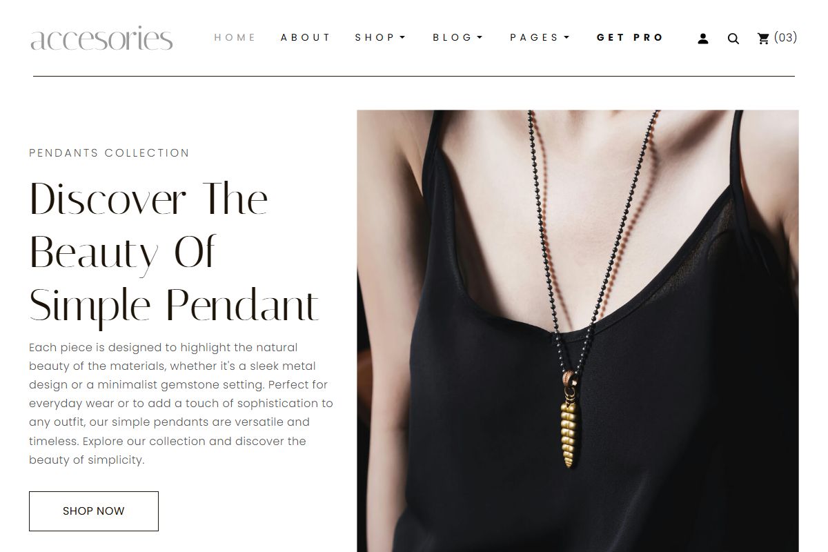 Accesories Jewelry Shop Ecommerce Website Template