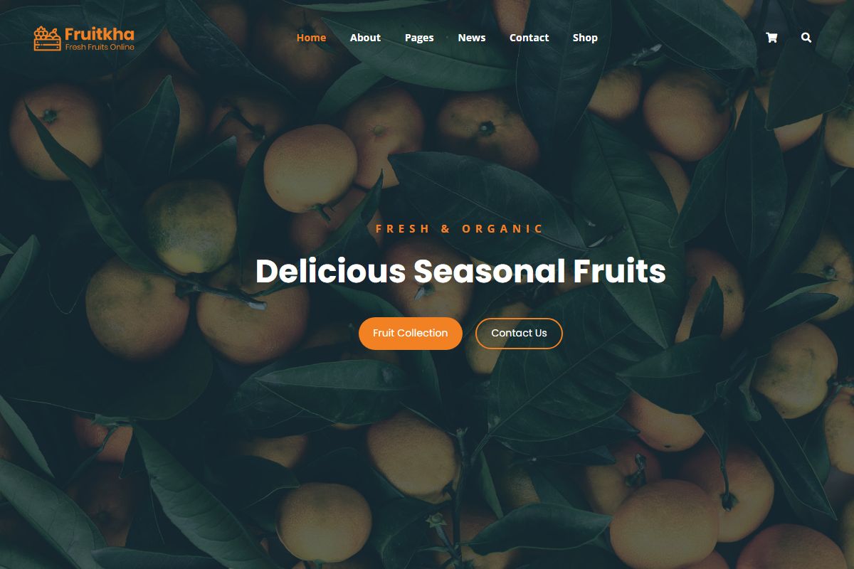 Delicious Seasonal Fruits 547